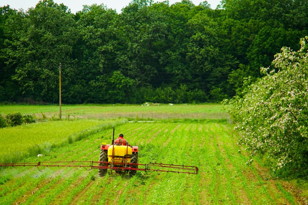 a peasant with a tractor, working a cornfield crop