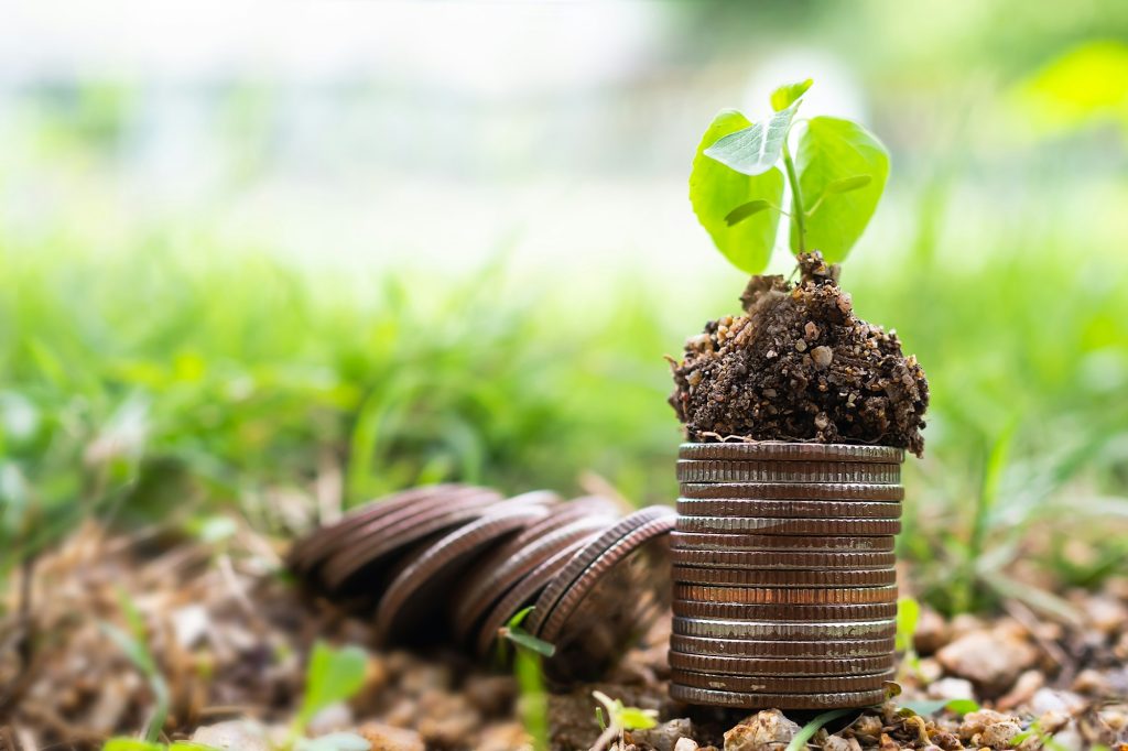 Money growth. small tree on stack coin and soil with green background